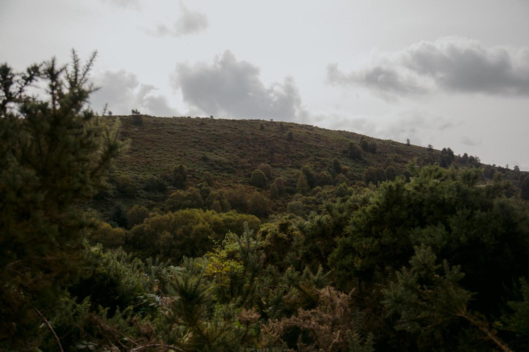 הוילה לארה The Deerstone Luxury Eco Hideaway מראה חיצוני תמונה